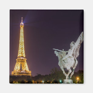 Pont de Bir-Hakeim bei Nacht - Paris, Frankreich Magnet