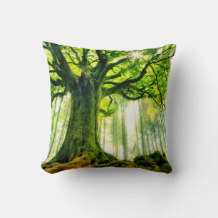 Ponthus' Beech Kissen