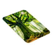 Ponthus' Beech Magnet (Rechte Seite)