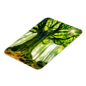 Ponthus' Beech Magnet (Linke Seite)