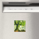 Ponthus' Beech Magnet (In Situ (Geschirrspüler))