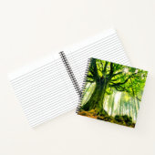 Ponthus' Beech Notizblock (Innenseite)