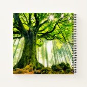 Ponthus' Beech Notizblock (Rückseite)
