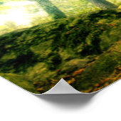 Ponthus' Beech Poster (Ecke)