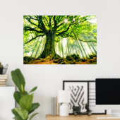 Ponthus' Beech Poster (Heimbüro)