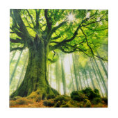 Ponthus Buche Fliese (Vorderseite)