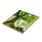 Ponthus Buche Fliese (Seite)