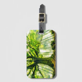 Ponthus Buche Gepäckanhänger (Vorderseite Vertikal)