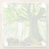 Ponthus Buche Glasuntersetzer (Rückseite)