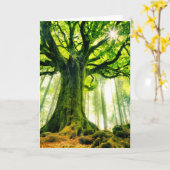 Ponthus Buche Karte (Gelbe Blume)