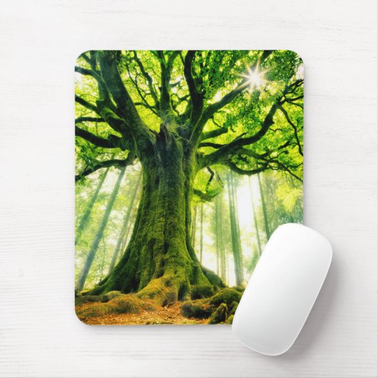 Ponthus Buche Mousepad (Mit Mouse)