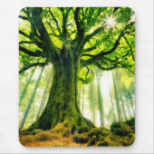 Ponthus Buche Mousepad (Vorne)