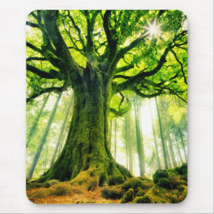 Ponthus Buche Mousepad