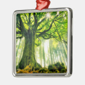 Ponthus Buche Ornament Aus Metall (Links)