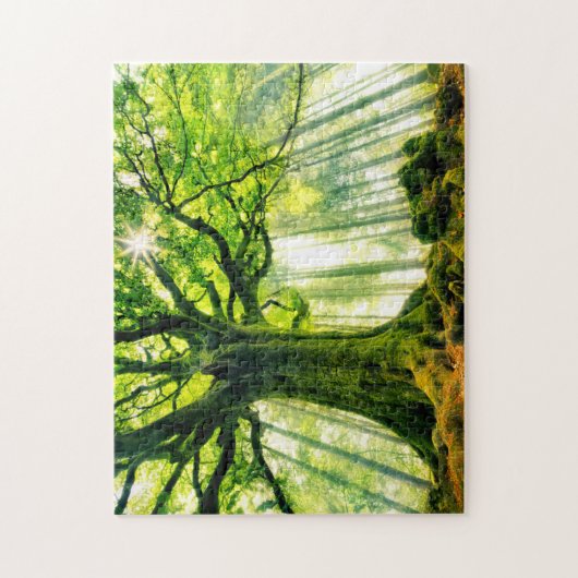 Ponthus Buche Puzzle (Vertikal)