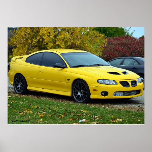 Pontiac GTO 2005 Poster (Vorne)