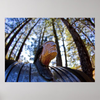 Pontiac Indian Hood Ornament (Brighter) Poster