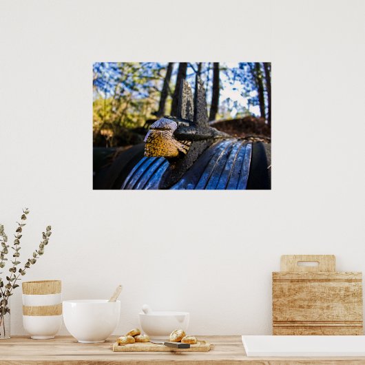 Pontiac Indian Hood Ornament Poster (Küche)