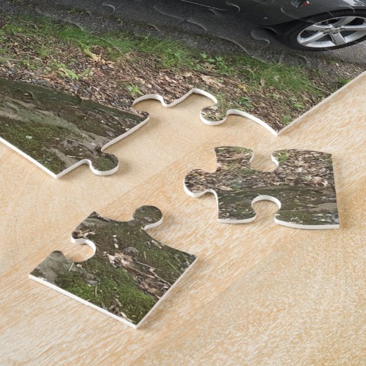 Pontiac-Sonnenwende Puzzle (Seite)