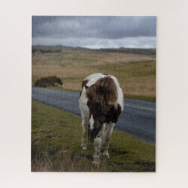 Pony auf der Straße im Dartmoor-Nationalpark Puzzle