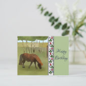 Pony auf der Weide Postkarte (Stehend Vorderseite)