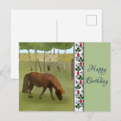 Pony auf der Weide Postkarte (Vorne/Hinten)