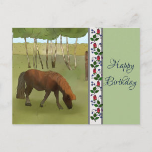 Pony auf der Weide Postkarte