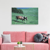 Pony auf Weide Leinwanddruck (Insitu (Wohnzimmer))