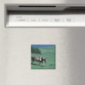 Pony auf Weide Magnet (In Situ (Geschirrspüler))