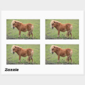 Pony Aufkleber (Blatt)