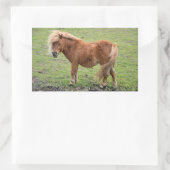 Pony Aufkleber (Tasche)