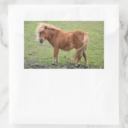 Pony Aufkleber (Tasche)