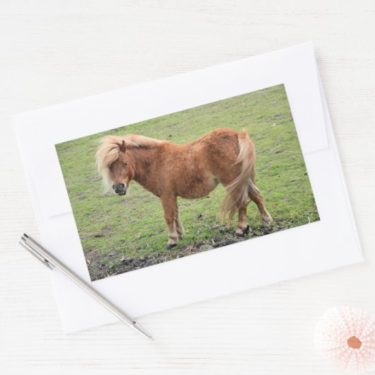 Pony Aufkleber (Umschlag)