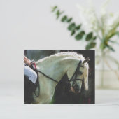 Pony bei einer Show Postkarte (Stehend Vorderseite)