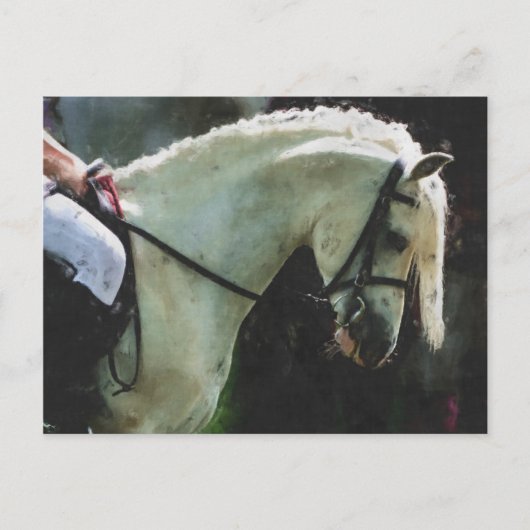 Pony bei einer Show Postkarte (Vorderseite)