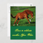 Pony Birthday Postcard Postkarte (Vorne/Hinten)