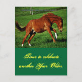 Pony Birthday Postcard Postkarte (Vorderseite)