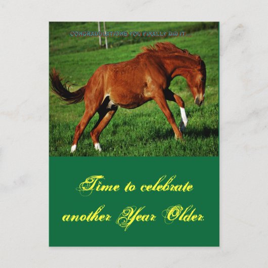 Pony Birthday Postcard Postkarte (Vorderseite)