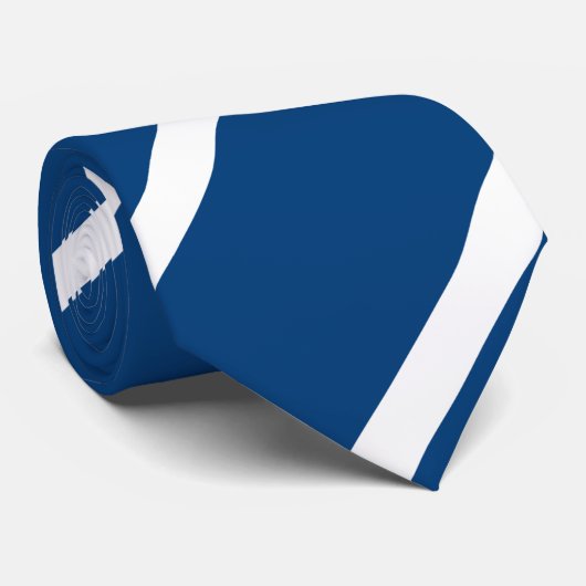 Pony Blue Diagonal Striping Krawatte (Gerollt)