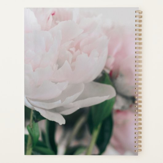 Pony Blume Planner Planer (Rückseite)