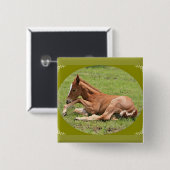 Pony Button (Vorne & Hinten)