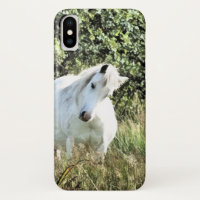 PONY