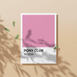 Pony Club Song Pink Farbe - Weiße Grenze Poster