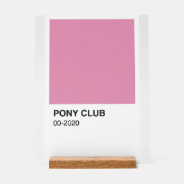 Pony Club Song Pink Farbe - Weißer Hintergrund Acrylschild