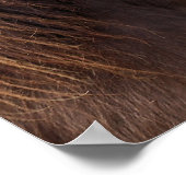 Pony Exmoor Poster (Ecke)