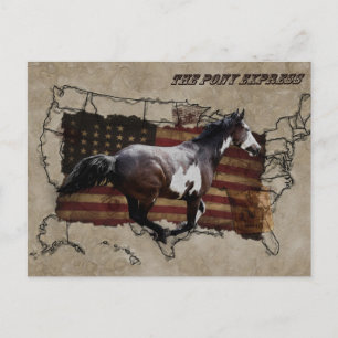 Pony Express Pinto Pferd liefert US-Post Postkarte