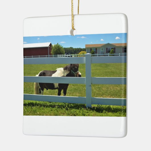 Pony Foto Keramikornament (Links)