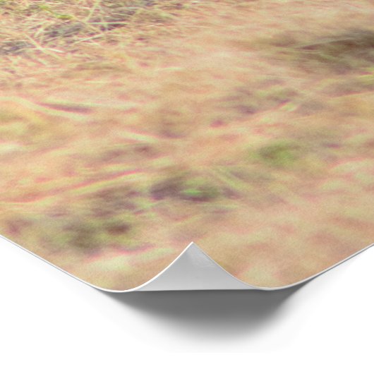 Pony Foto Poster (Ecke)