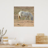 Pony Foto Poster (Küche)