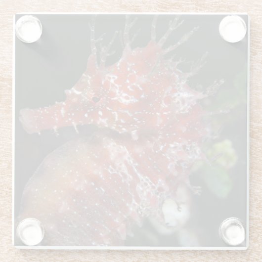 Pony-Frau Begur des Seepferd-| Glasuntersetzer (Rückseite)